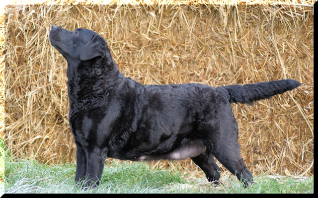 Keetje, uit het Wishstone-fotoarchief