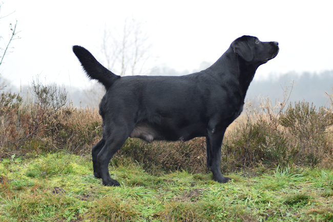 Foto uit het Wishstone-archief