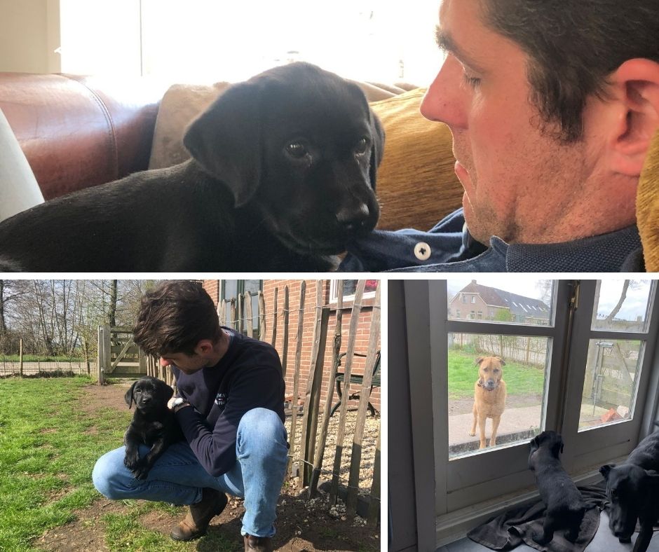 Foto bij De Nibbeltjes vliegen uit