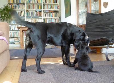 Foto bij Platonische Liefde