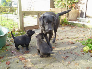 Foto bij LOVE unlimited