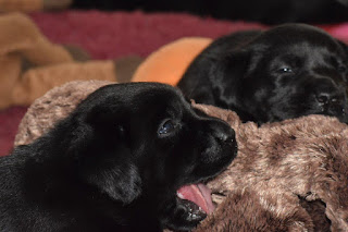 Foto bij Playtime!