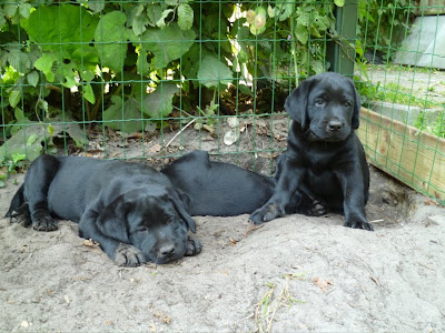 Foto bij Zand erover!