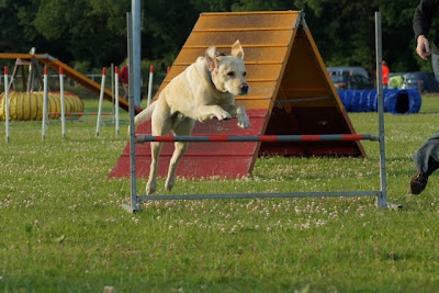 Foto bij Over Winnen