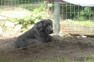 Foto bij Staying Cool @Wishstone