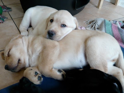Foto bij ff  Chillen...