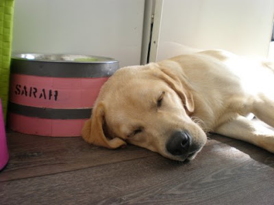 Foto bij Eerste Wishstones 1 jaar!