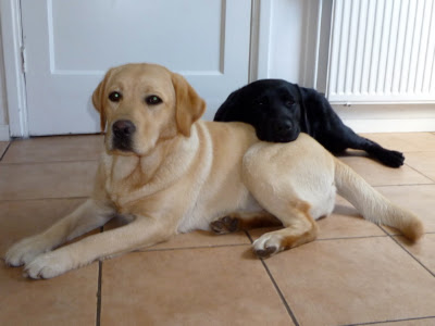 Foto bij Relaxzzzz...