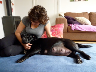 Foto bij Rosie Nosy