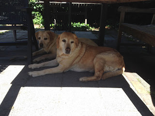 Foto bij Staying Cool @Wishstone