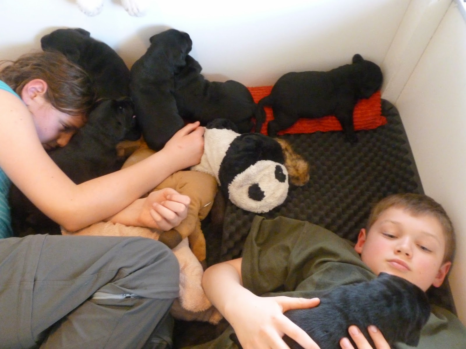Foto bij Pupdate