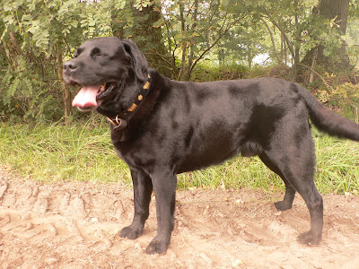 Foto bij Ollie is jarig!