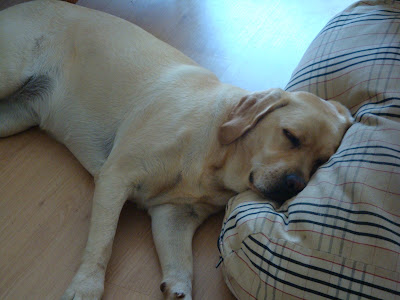 Foto bij JanetSailor-blend 2 jaar!