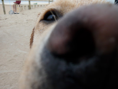 Foto bij Noordwijk aan ZEEEEEEEEEEEEEEEEEEEEEEEEEE!