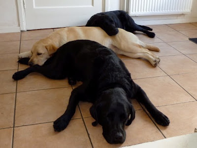 Foto bij Relaxzzzz...