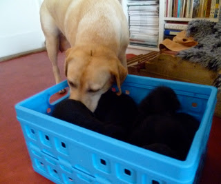 Foto bij With a Little Help