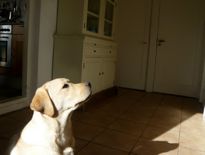 Foto bij Hoera!! Zonneschijn!
