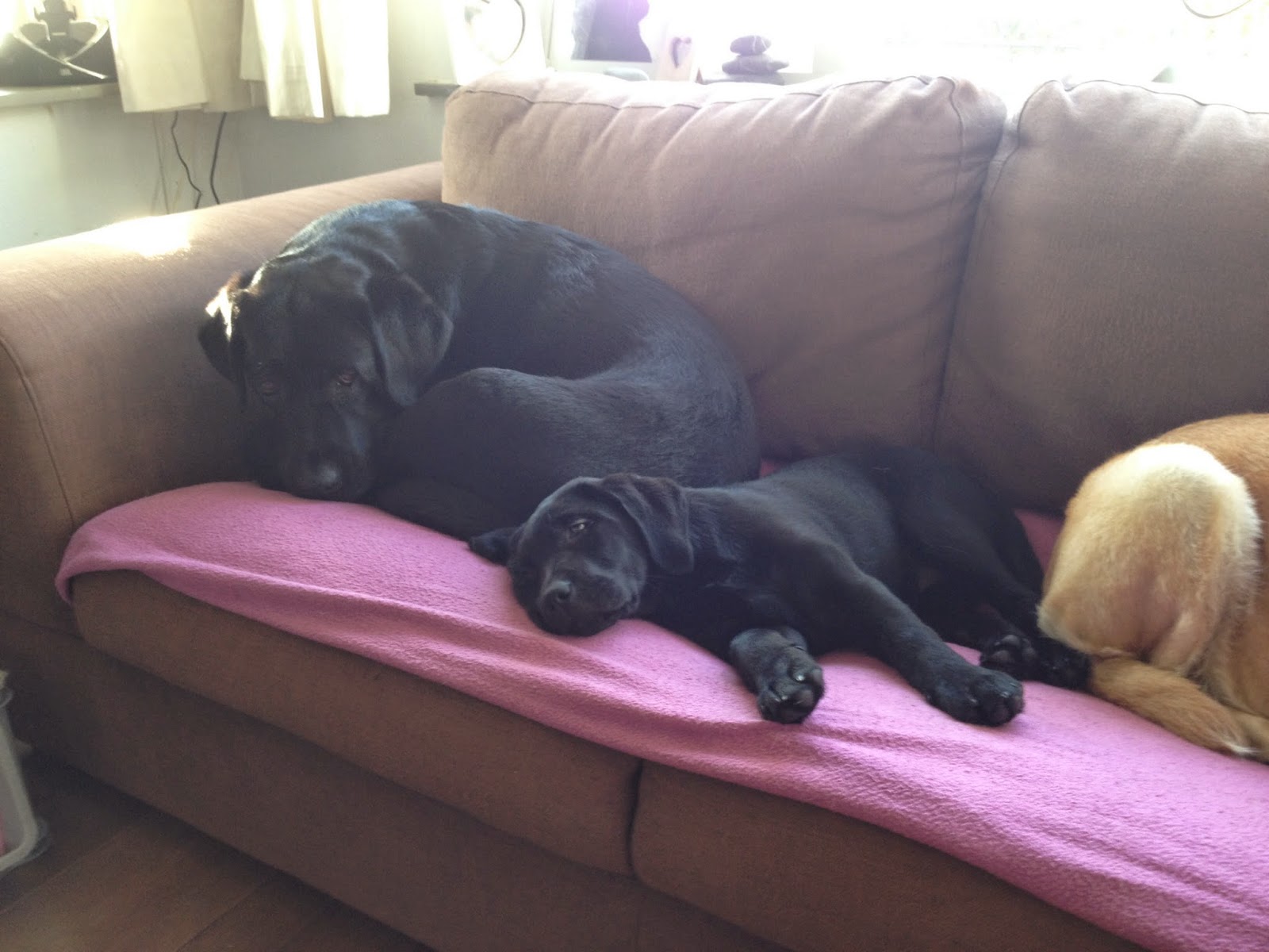 Foto bij Cosy Couching