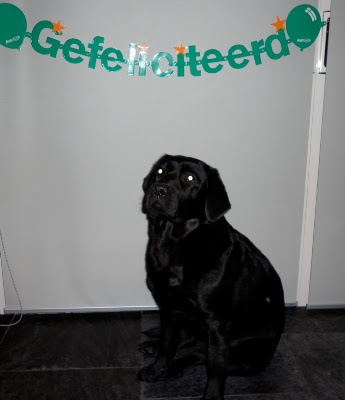 Foto bij Verjaardags-dekking