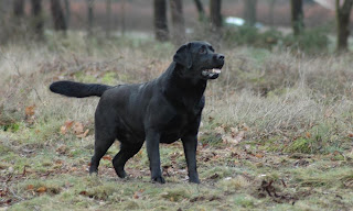 Foto bij 1 op 11/11!