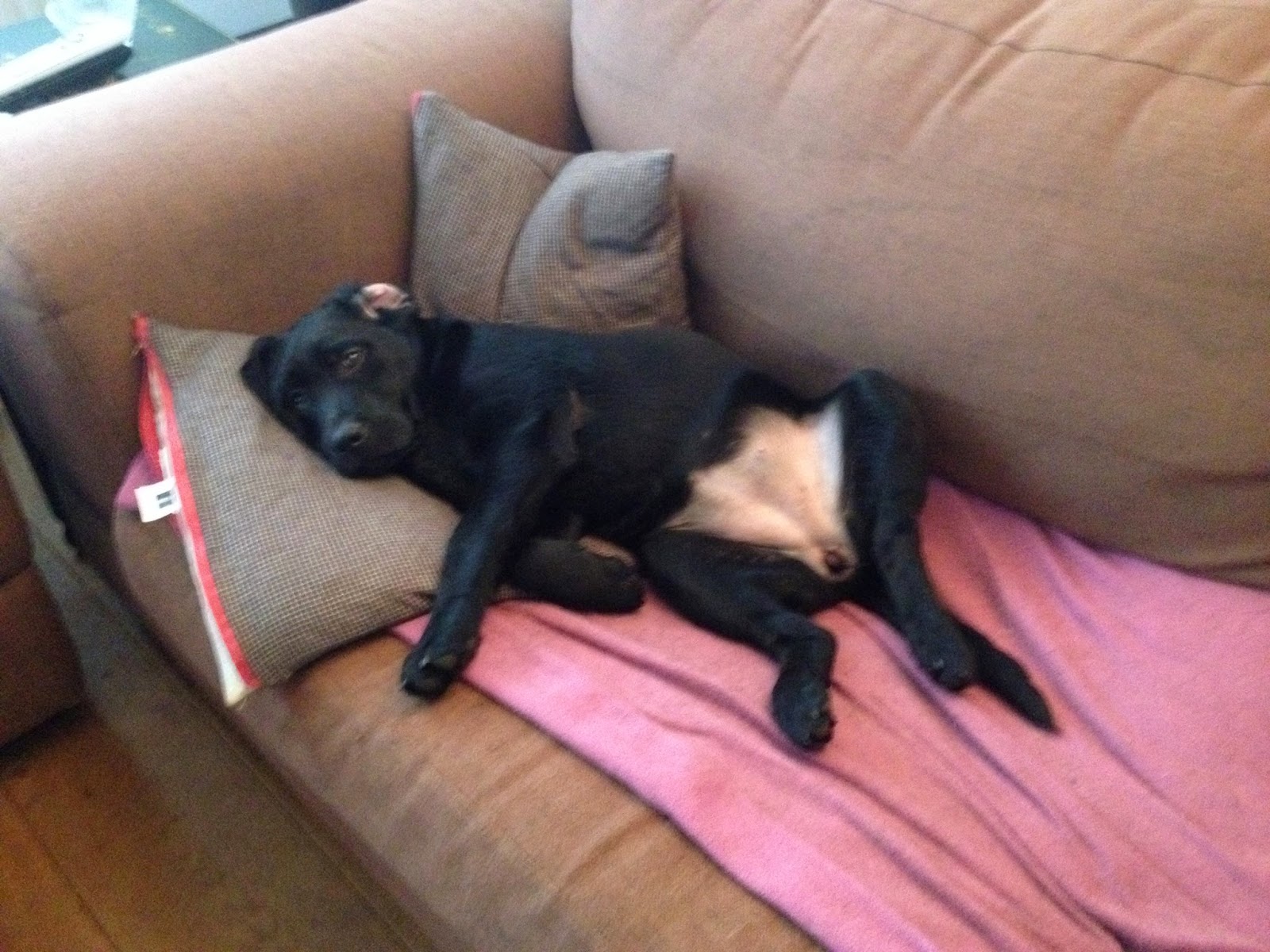 Foto bij Cosy Couching