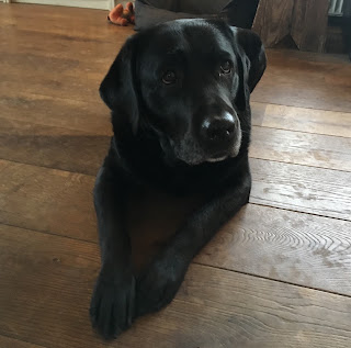 Foto bij Sophie pakt uit!