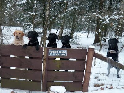 Foto bij Outdoor Winter Games