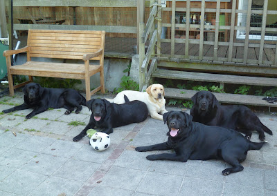 Foto bij Quality time met Family&Friends