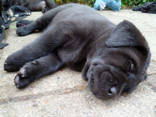 Foto bij Allemaal de liefste!