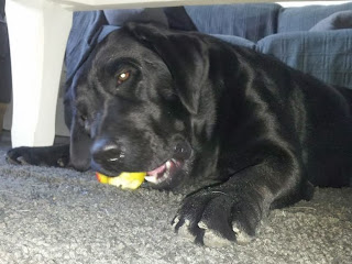 Foto bij 1 op 11/11!