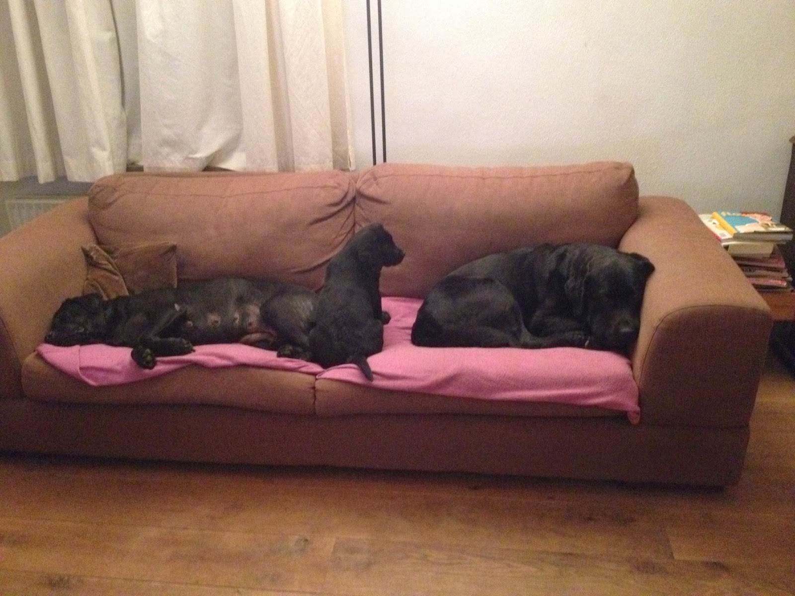 Foto bij Cosy Couching