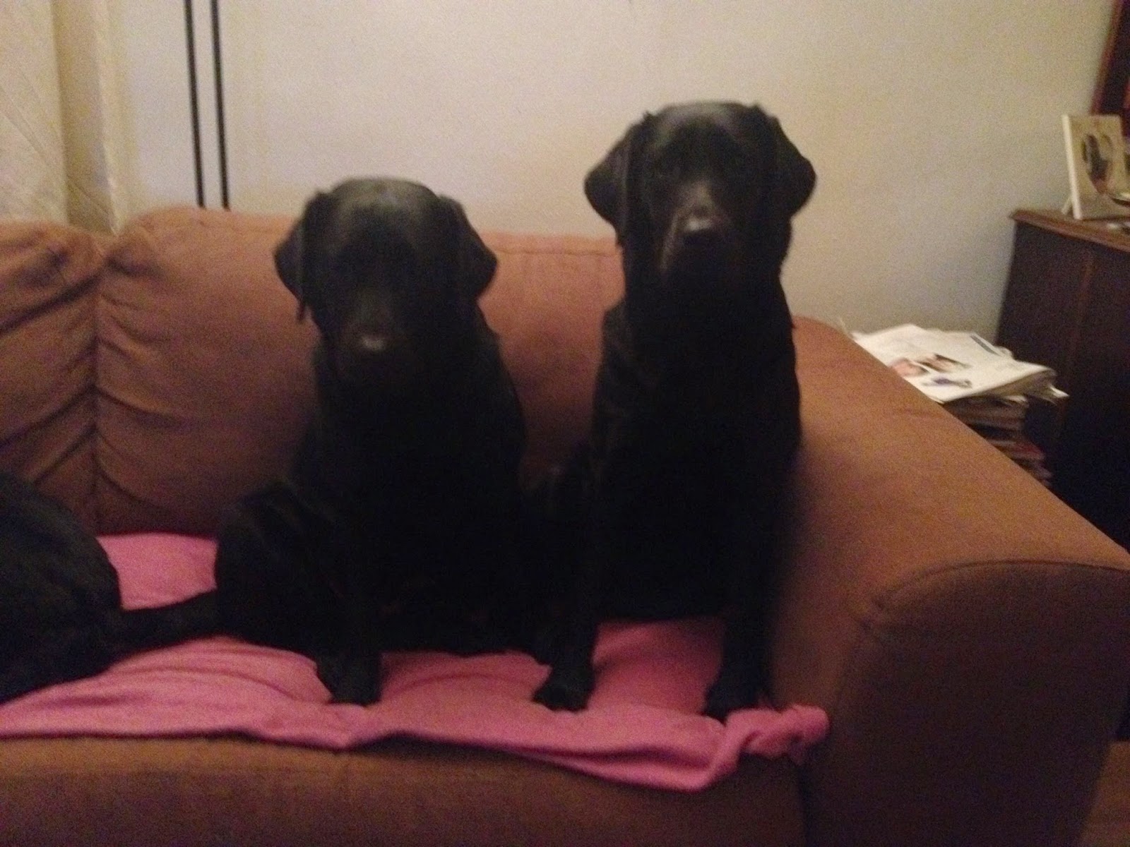 Foto bij Cosy Couching