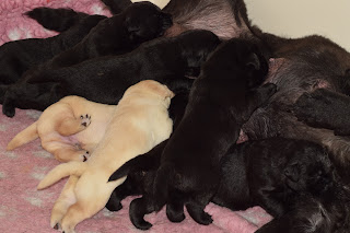 Foto bij Kleine Keetjes