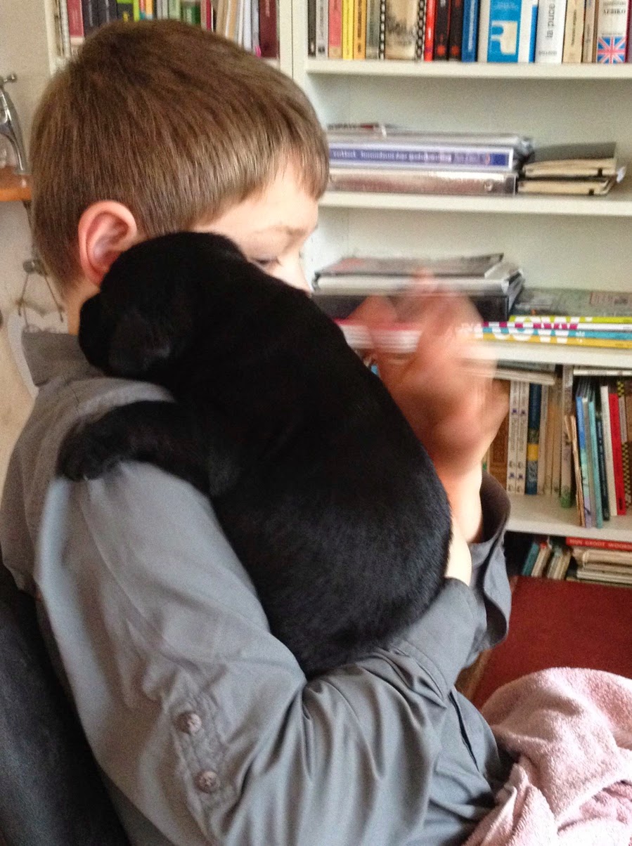 Foto bij Pupdate