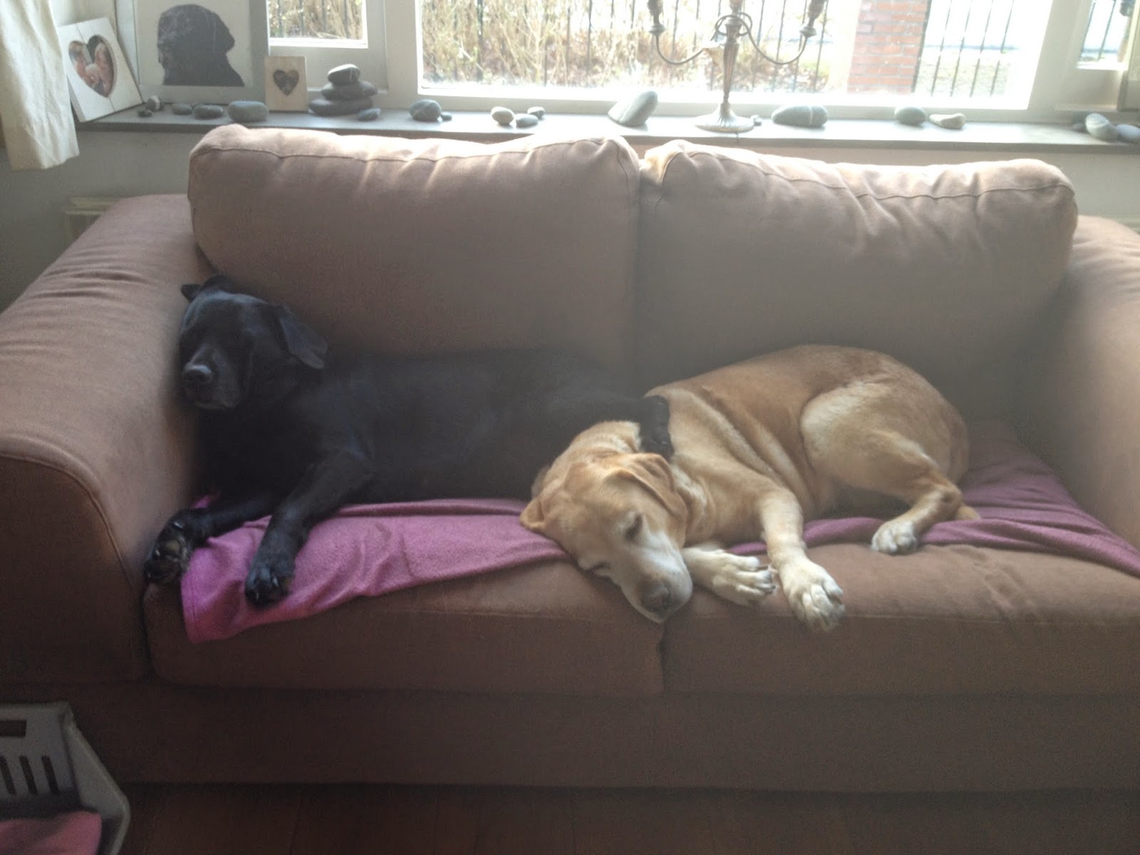 Foto bij Cosy Couching