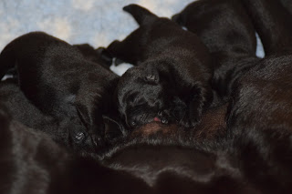 Foto bij Bibelotjes!!!