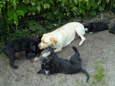 Foto bij Zand erover!