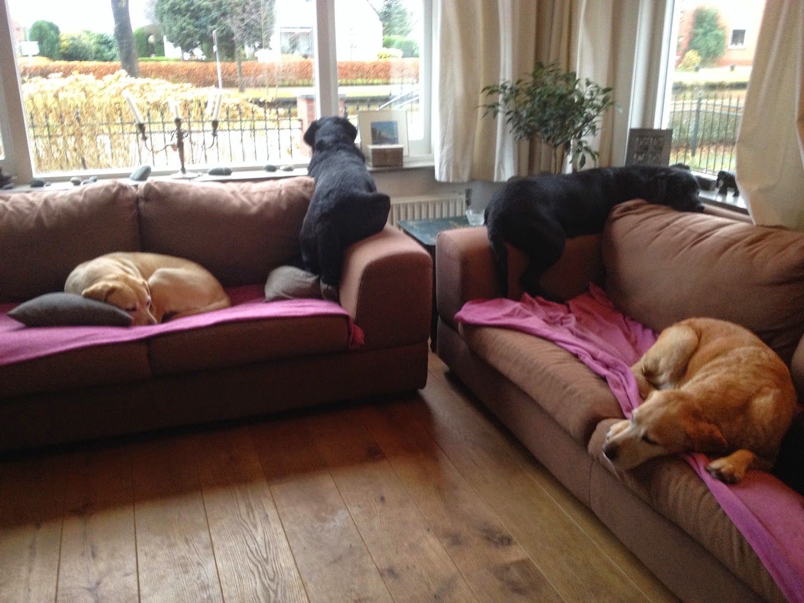 Foto bij Cosy Couching
