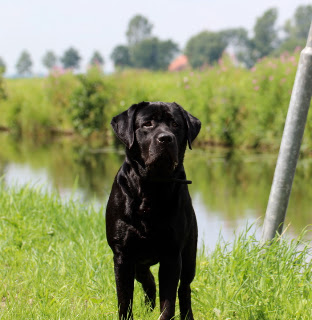 Foto bij Wij zijn al TWEE!!!!