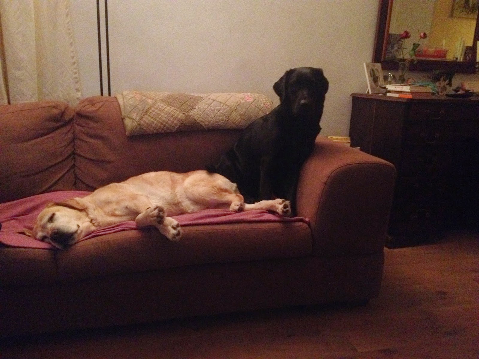 Foto bij Cosy Couching