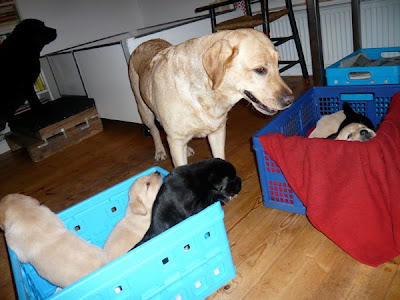 Foto bij Family Matters