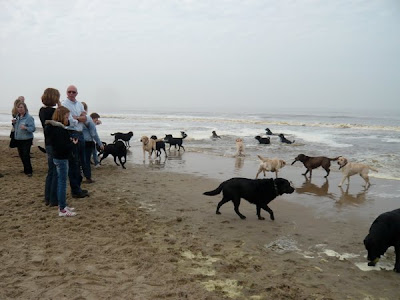 Foto bij Noordwijk aan ZEEEEEEEEEEEEEEEEEEEEEEEEEE!