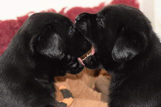 Foto bij Playtime!