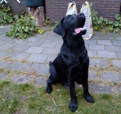 Foto bij Broertje bij de thee!