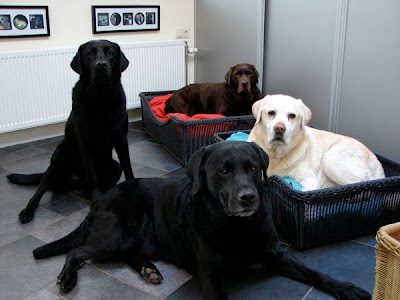 Foto bij Logeren bij familie