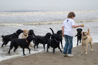Foto bij Noordwijk aan ZEEEEEEEEEEEEEEEEEEEEEEEEEE!