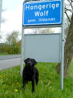 Foto bij Hongerige Wolf