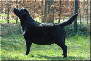 Foto bij Bisou omhelst het moederschap