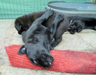 Foto bij Allemaal de liefste!