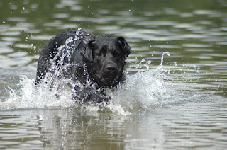 Foto bij Haa-Twee-Oo (H2O)